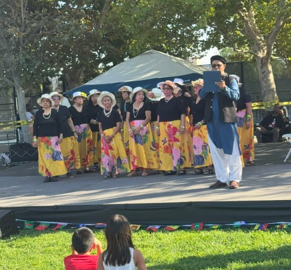Dancers performing at a community festival